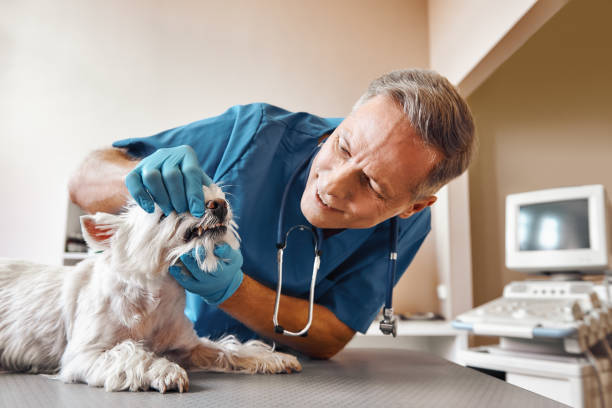 Best Emergency Broken Tooth Repair in Fernandina Beach, FL